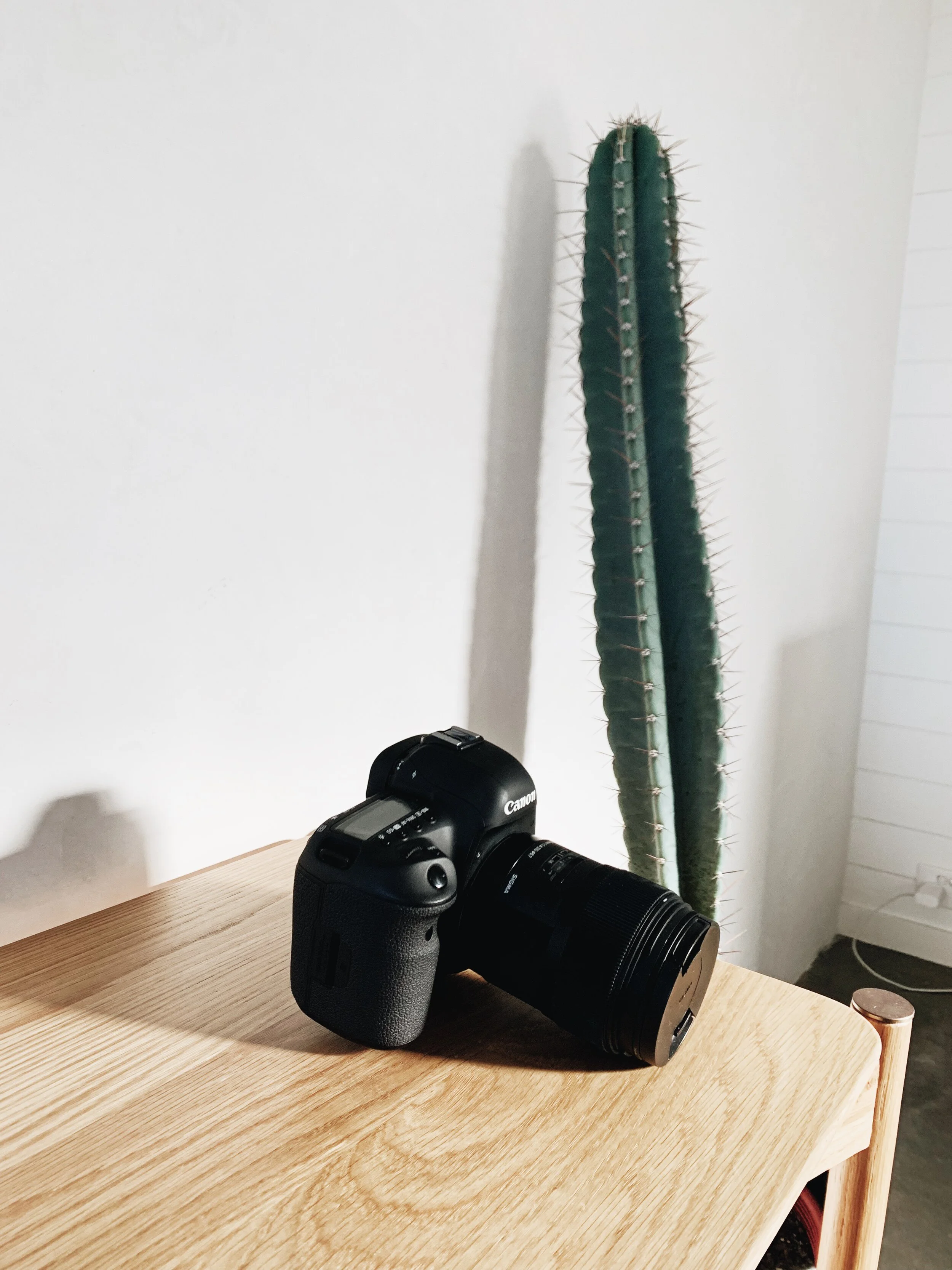 A sneak peek at the photography gear you'll currently find in my kit!