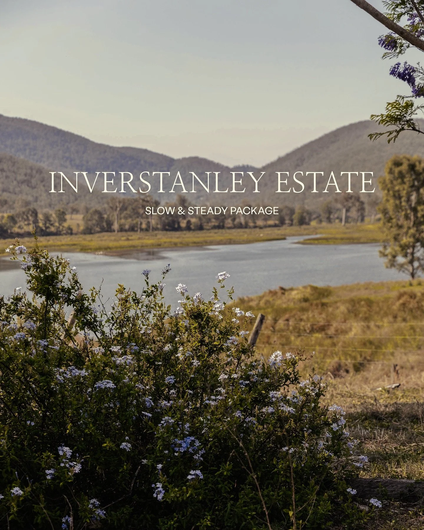 Giving you all a dose of country air and a look at one of our most recent shoots for our subscription client @inverstanleyestate 🌾 

It&rsquo;s magical, only 1.5hrs from Brisbane, a true slice of country paradise. Stay tuned as we work together over