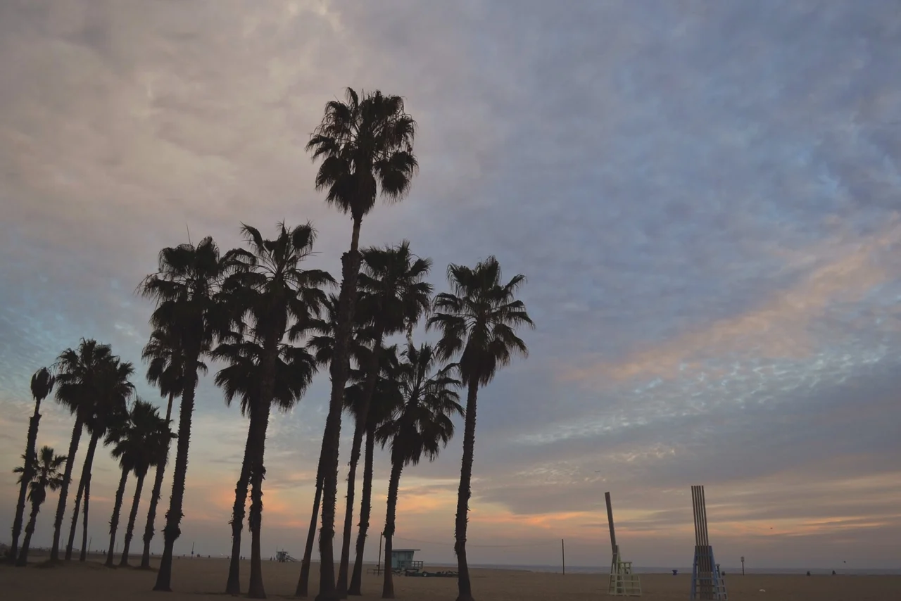 Wanderlust: Venice Beach