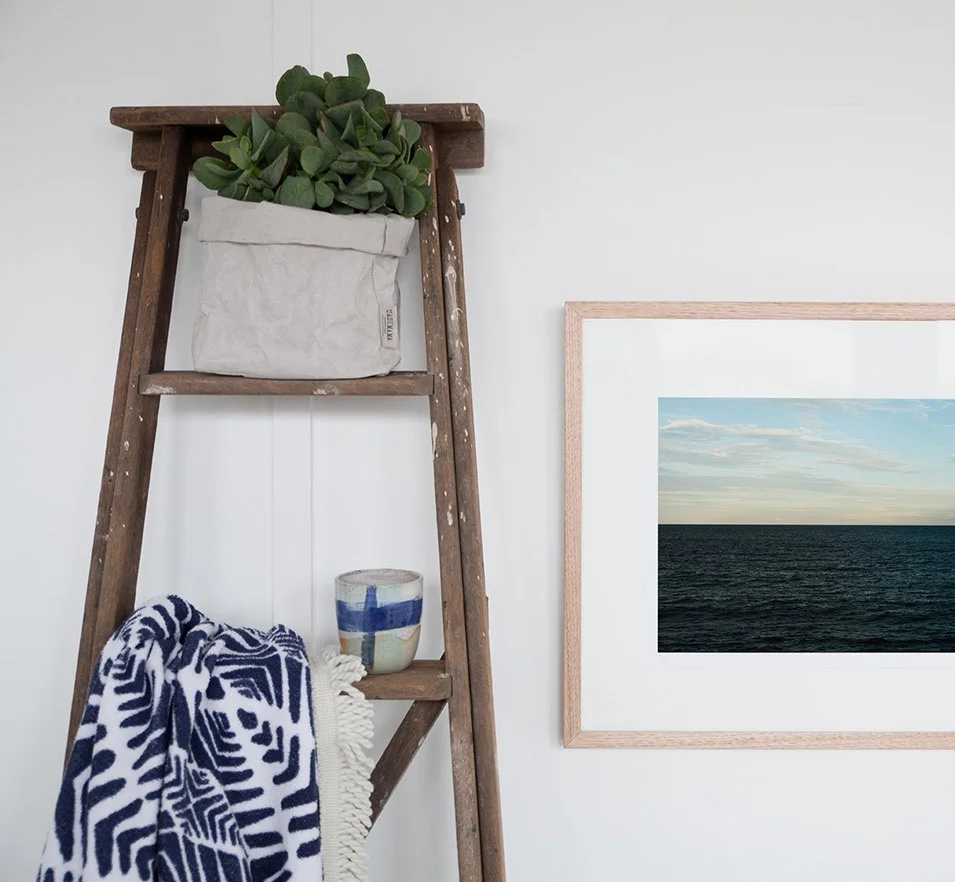 Welcome to TBP Bazaar