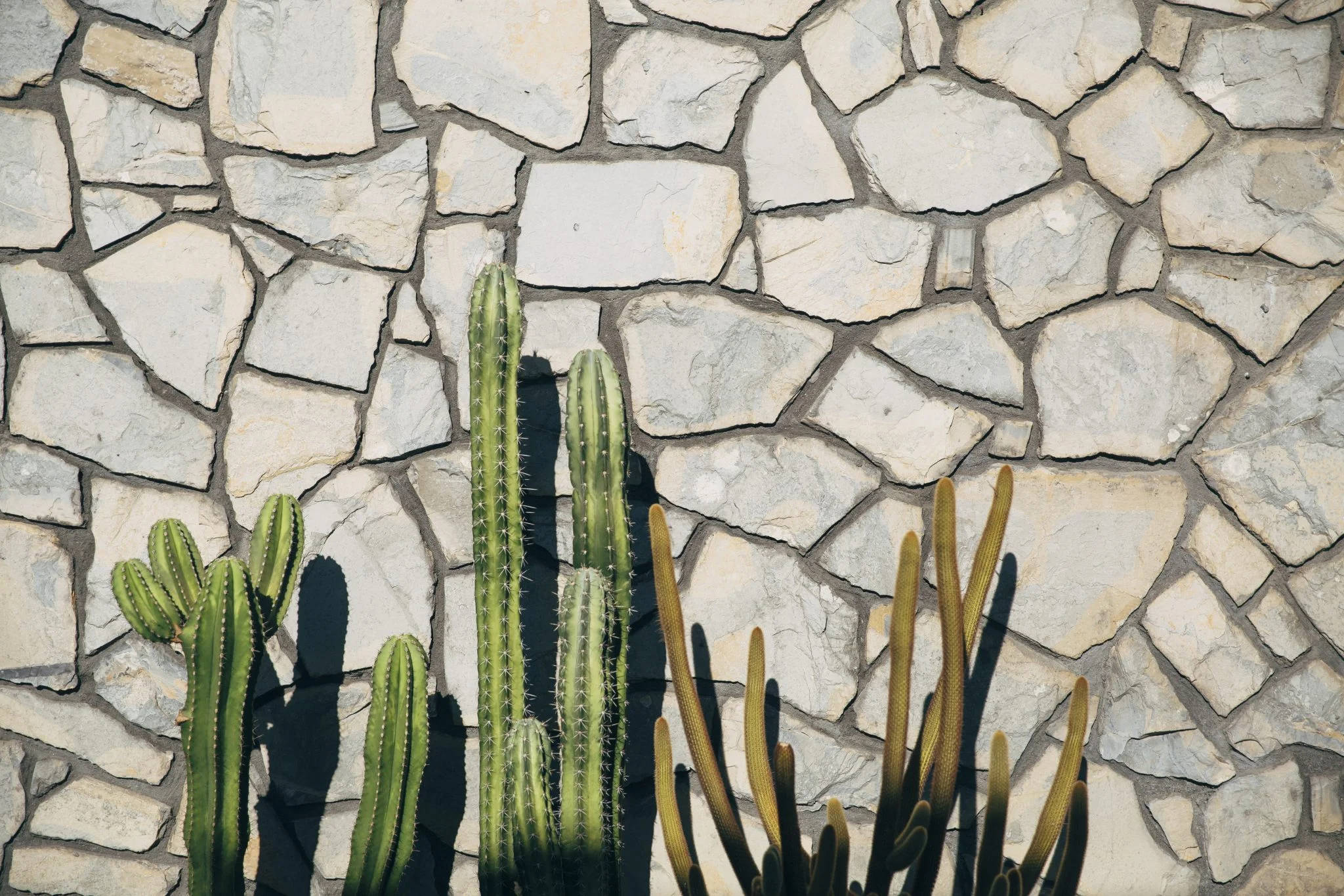 Our ultimate festival feels playlist