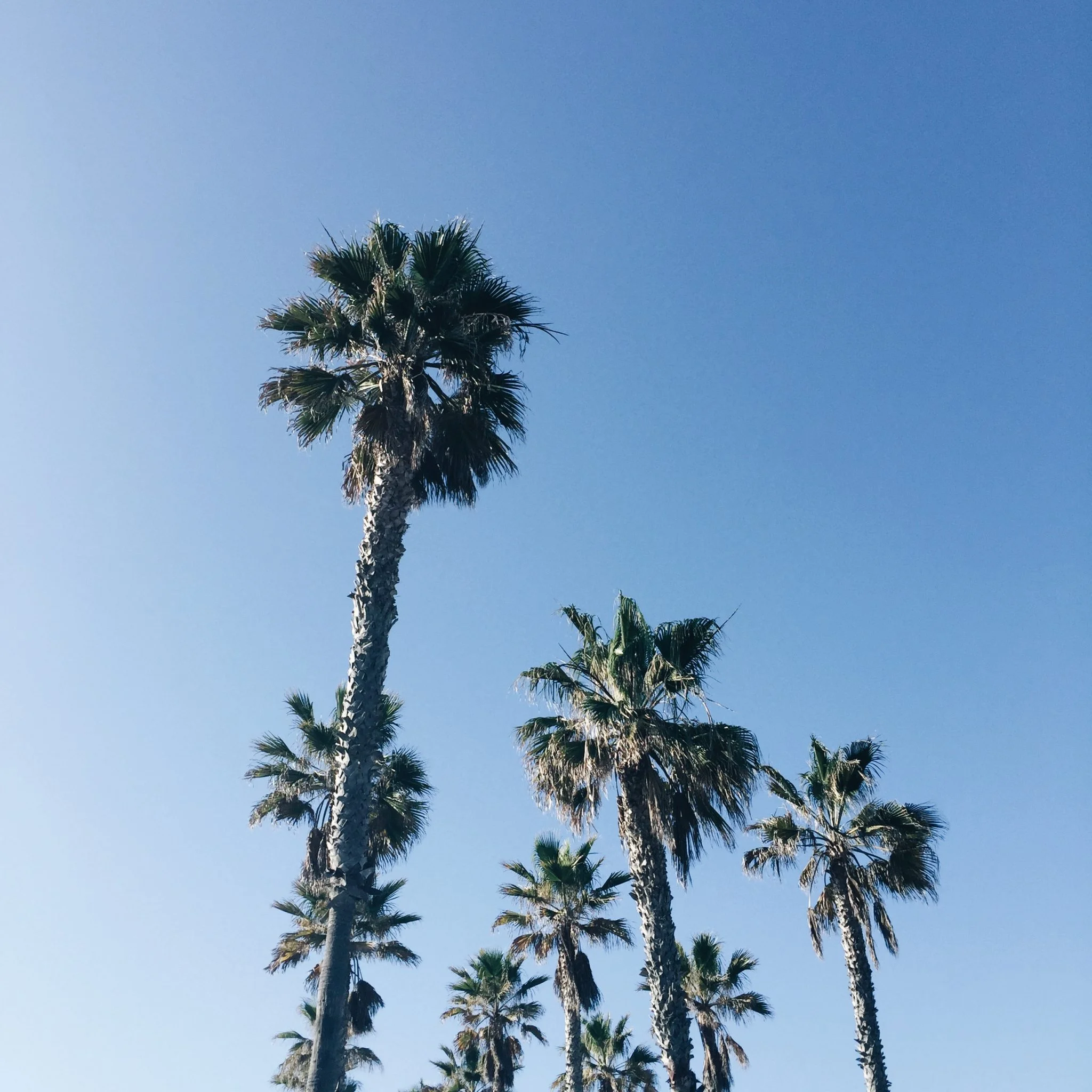 Top spots in LA with our designer Jake