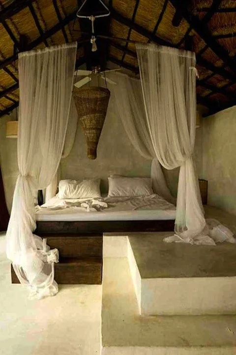 coqui-bed1.jpg