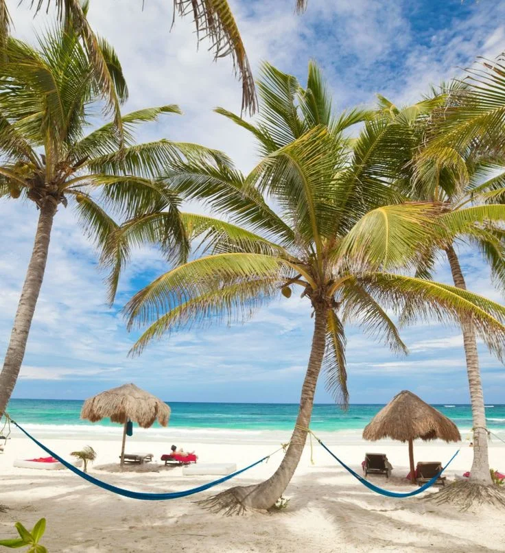 tulum-palms.jpg