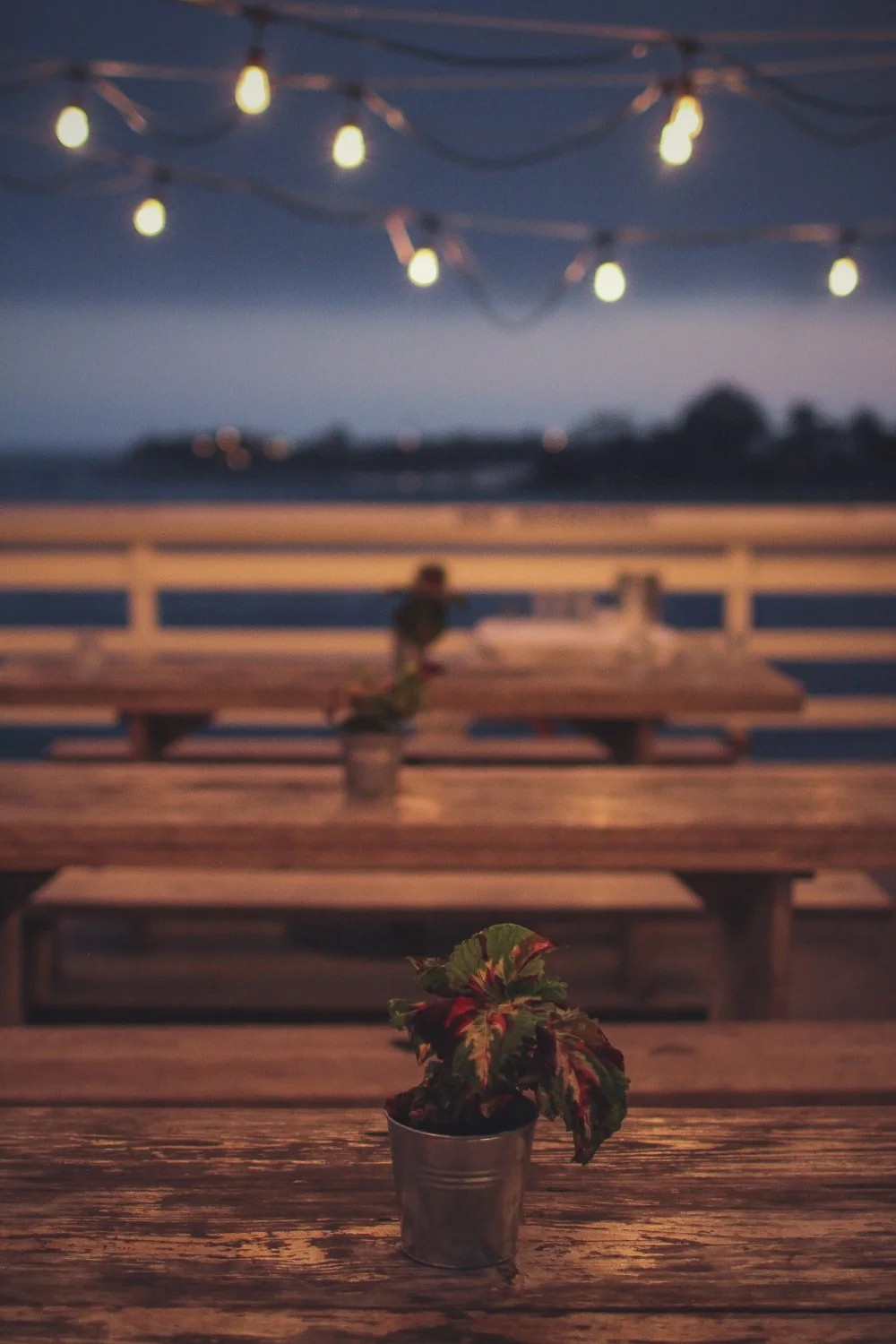 View More: http://photos.pass.us/thebeachpeople