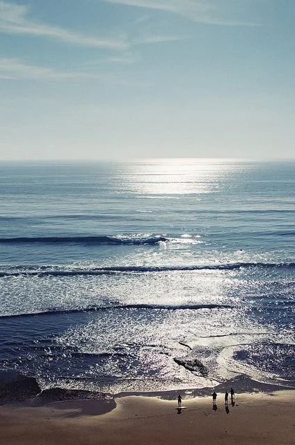 PinSea