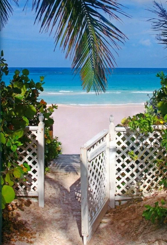 BahamasBeachgate
