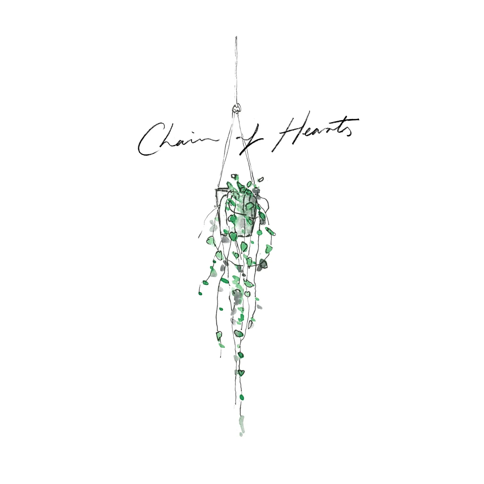 Chain of Hearts - Indoor Plants - The Beach People