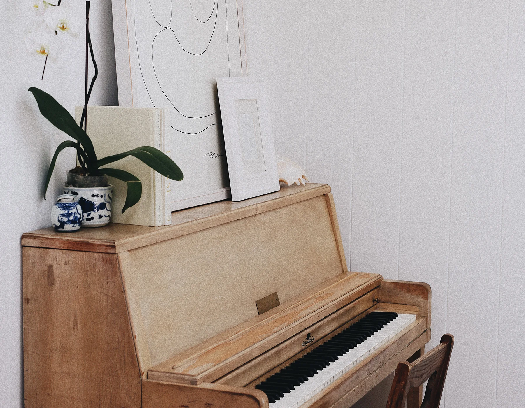 Inside the Home of Stone Cold Fox Designer Cydney Edwards