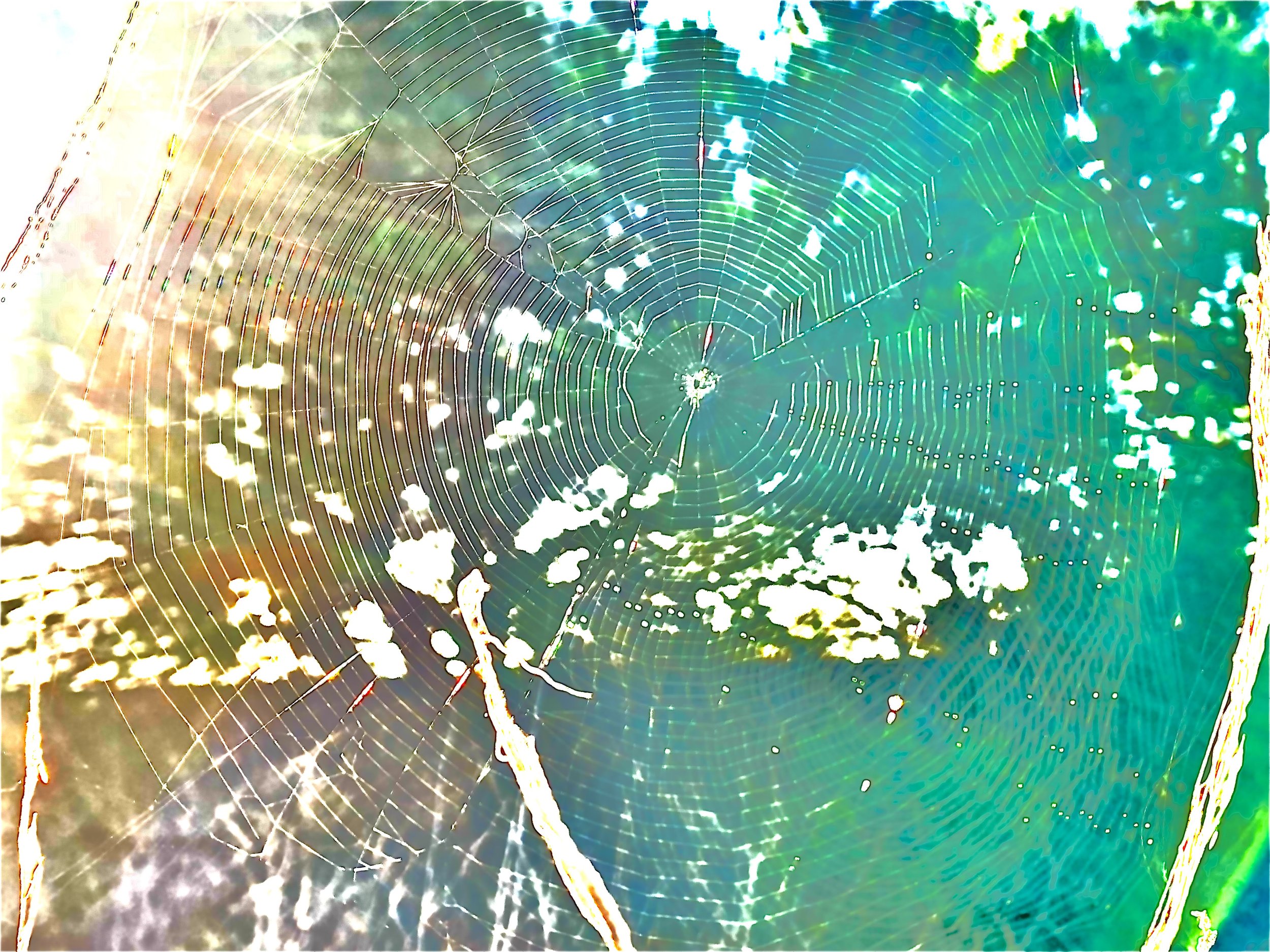 IMG_0200.jpeg