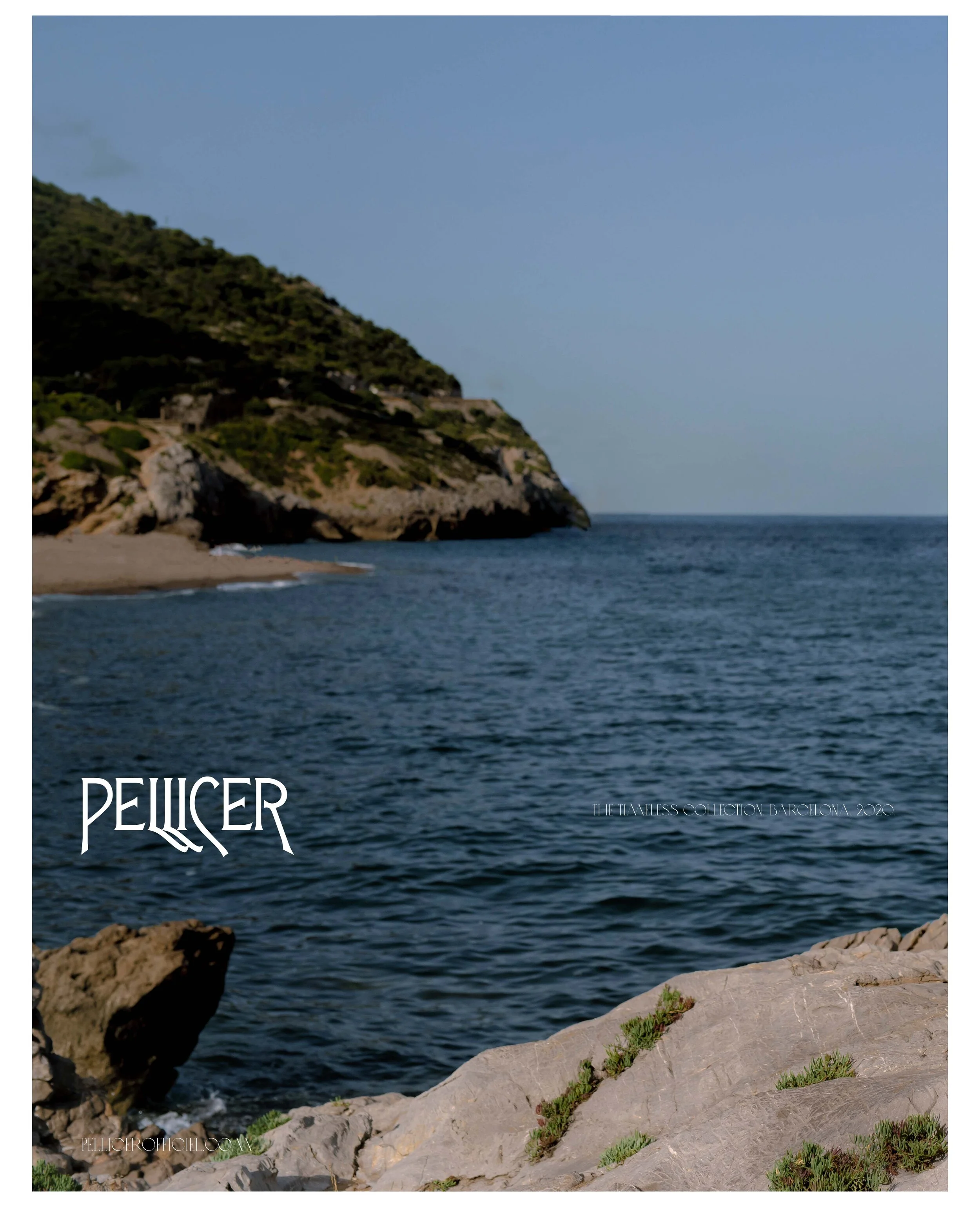PELLICER_ TC Barcelona 08.jpg