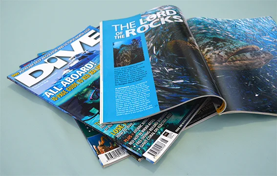 DIVE Magazine feature story