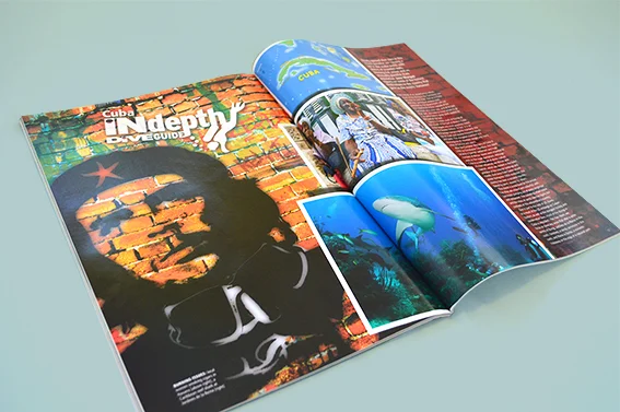 DIVE Magazine feature story