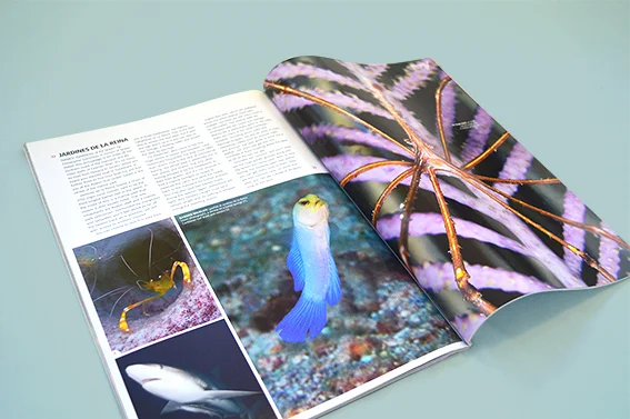 DIVE Magazine feature story