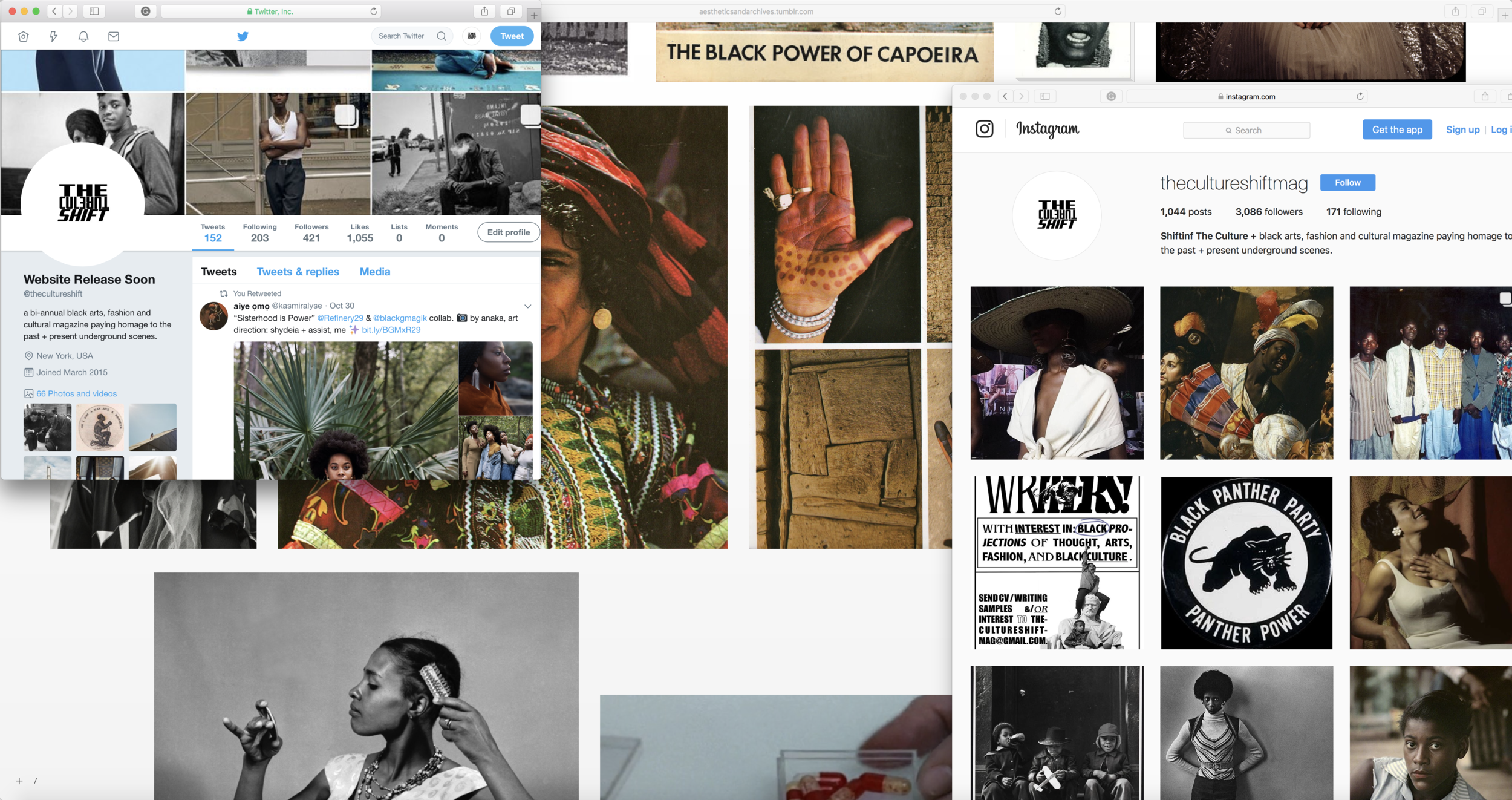 TCS MOOD BOARD 1.png