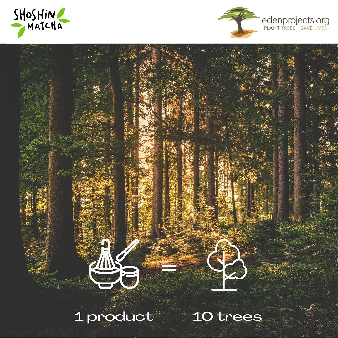 We plant 10 🌳🌴🌲 for every product we sell 🌍💚 #shoshinmatcha #drinkmatchaplanttrees