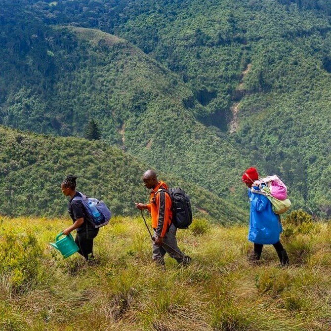 @edenprojects team going the extra mile to plant millions of 🌴🌳🌲🌿 Head to our page If you want to found out more about how you can help the planet while sipping on delicious matcha tea 😋 #drinkmatchaplanttrees #shoshinmatcha #sustainablebusiness