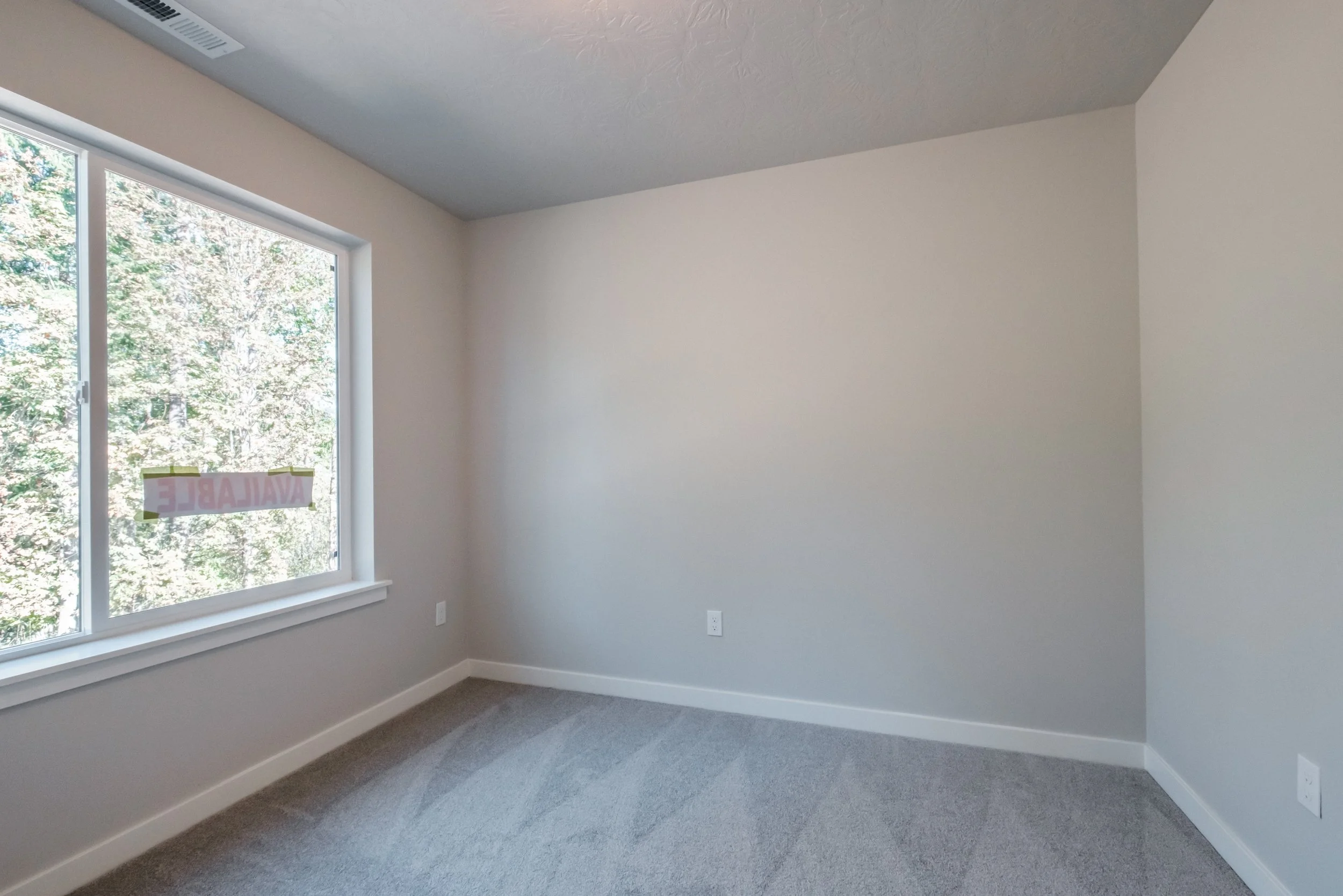 Export Photos-47081.JPG