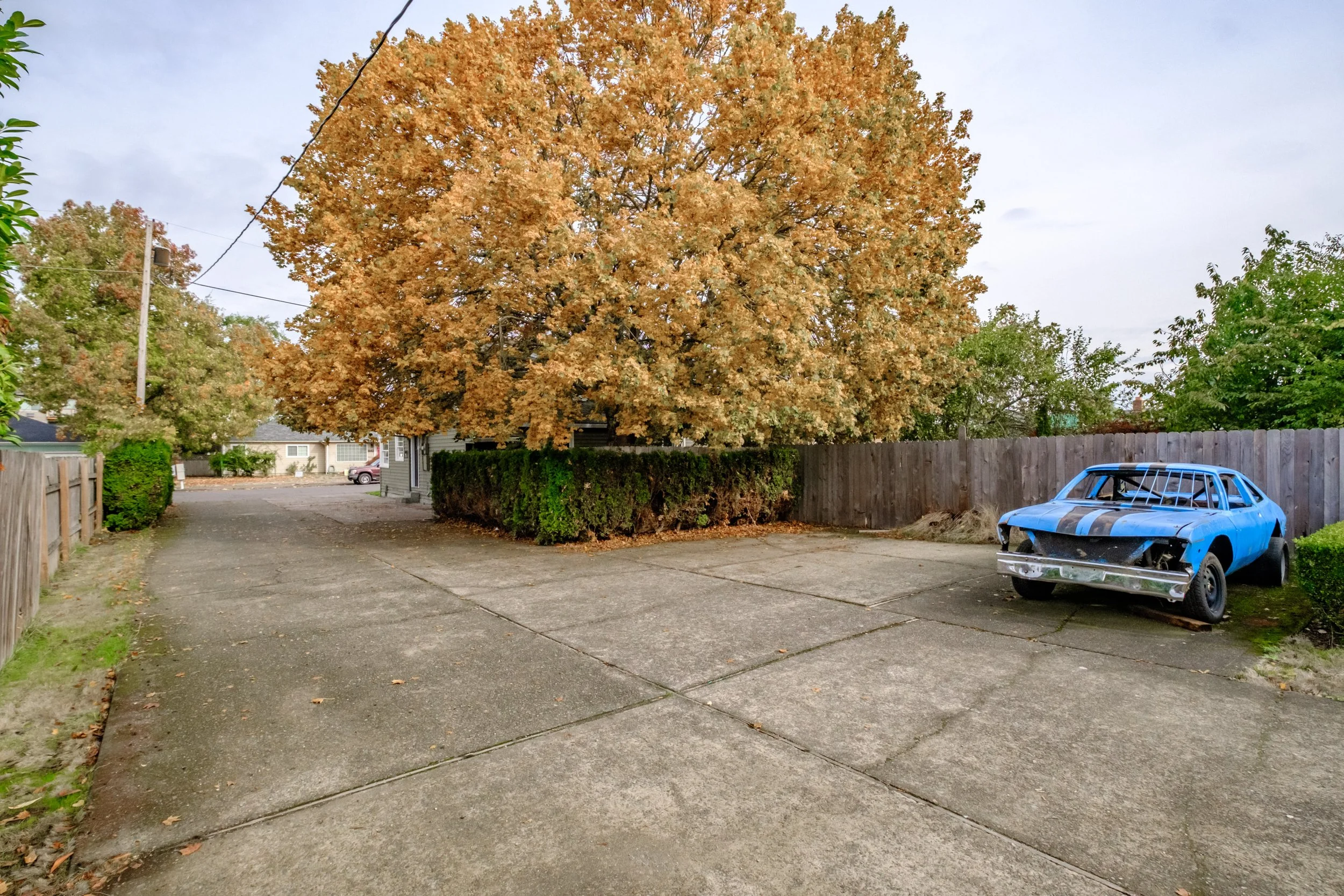 Export Photos-4235.JPG