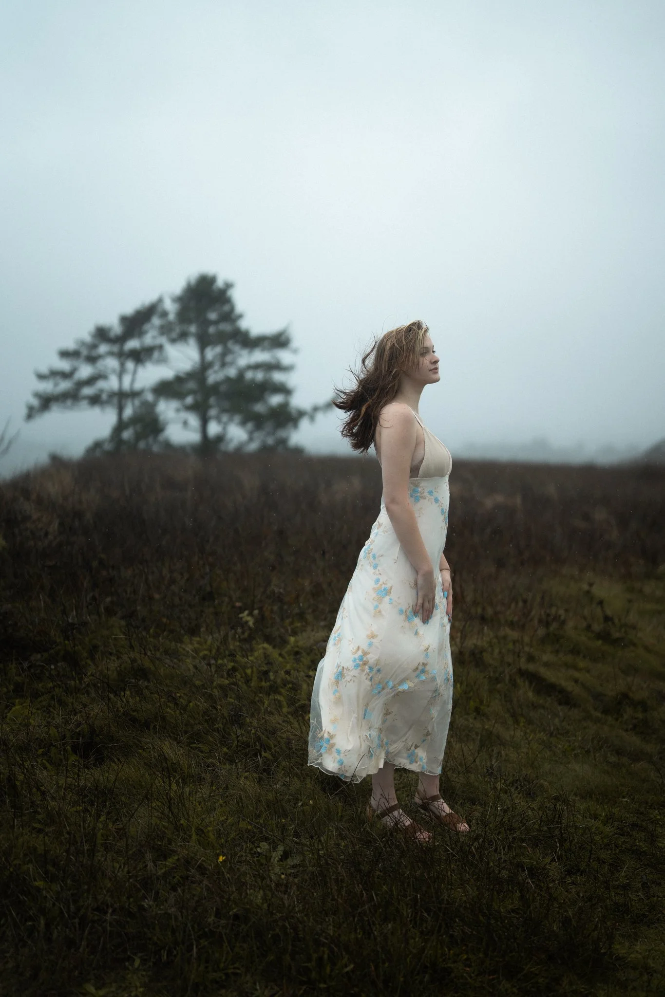 A woman in a cream-colored dress with blue floral accents stands outdoors on a foggy, grassy landscape with a tree in the background.