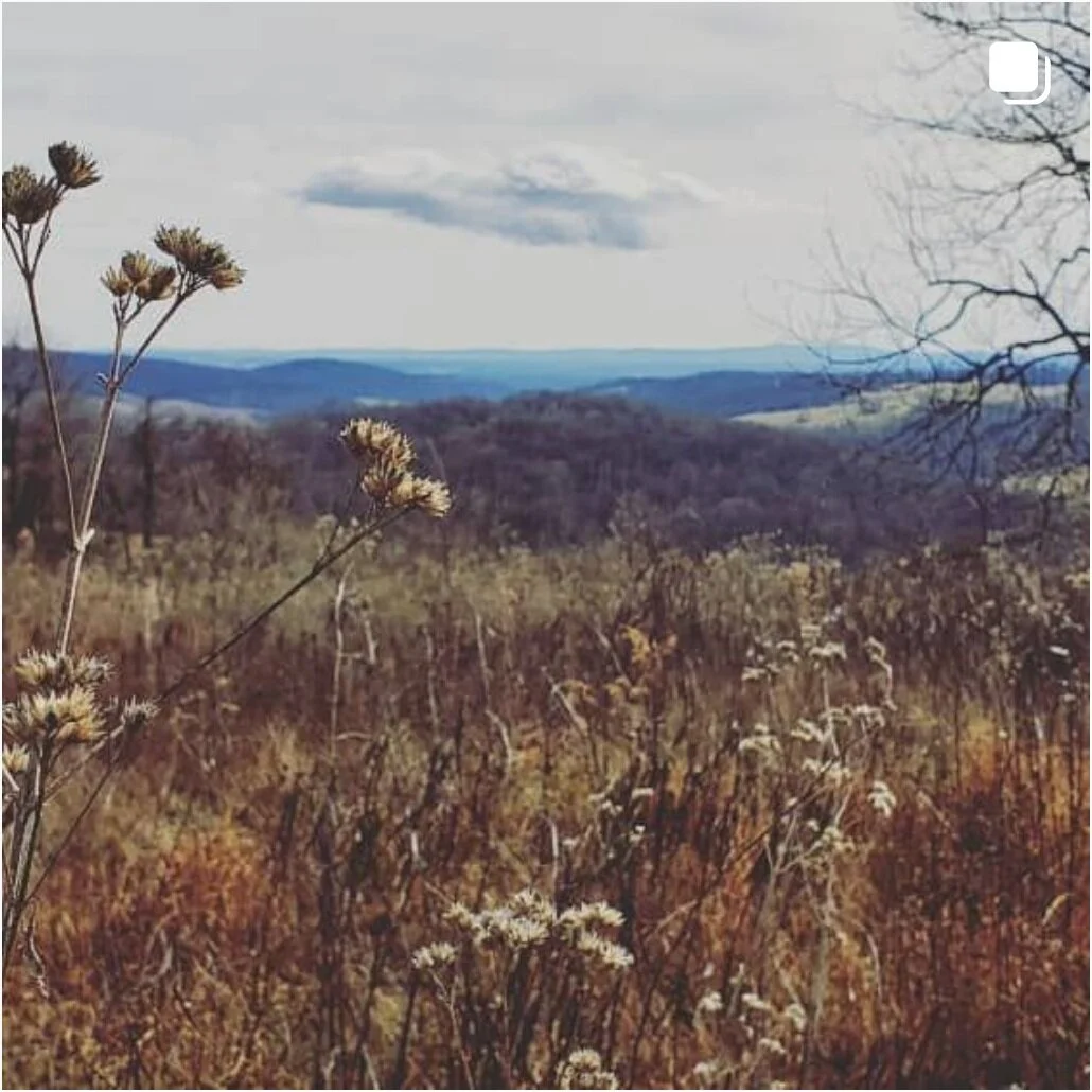 Screen Shot 2021-07-11 at 11.01.59 PM.png