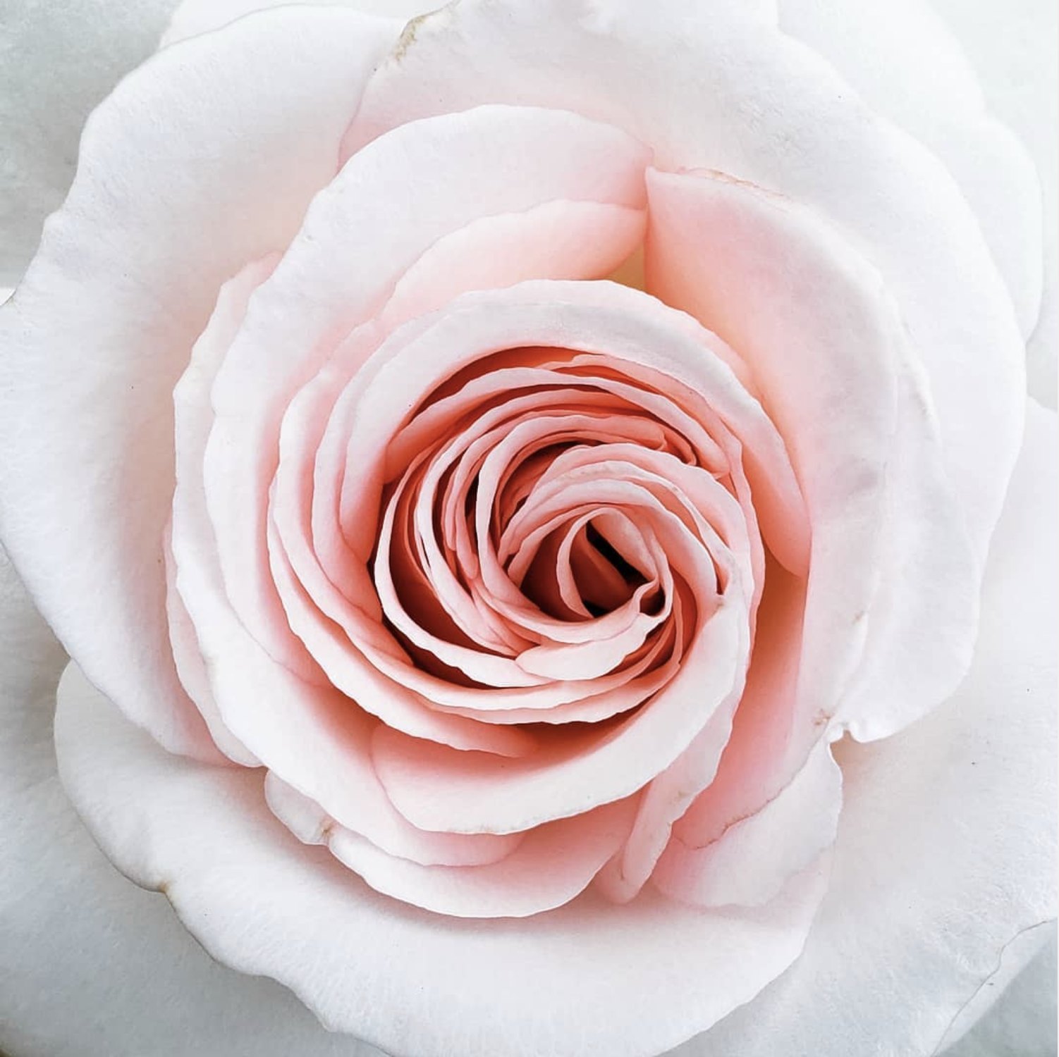 Screen Shot 2021-07-11 at 11.03.31 PM.png