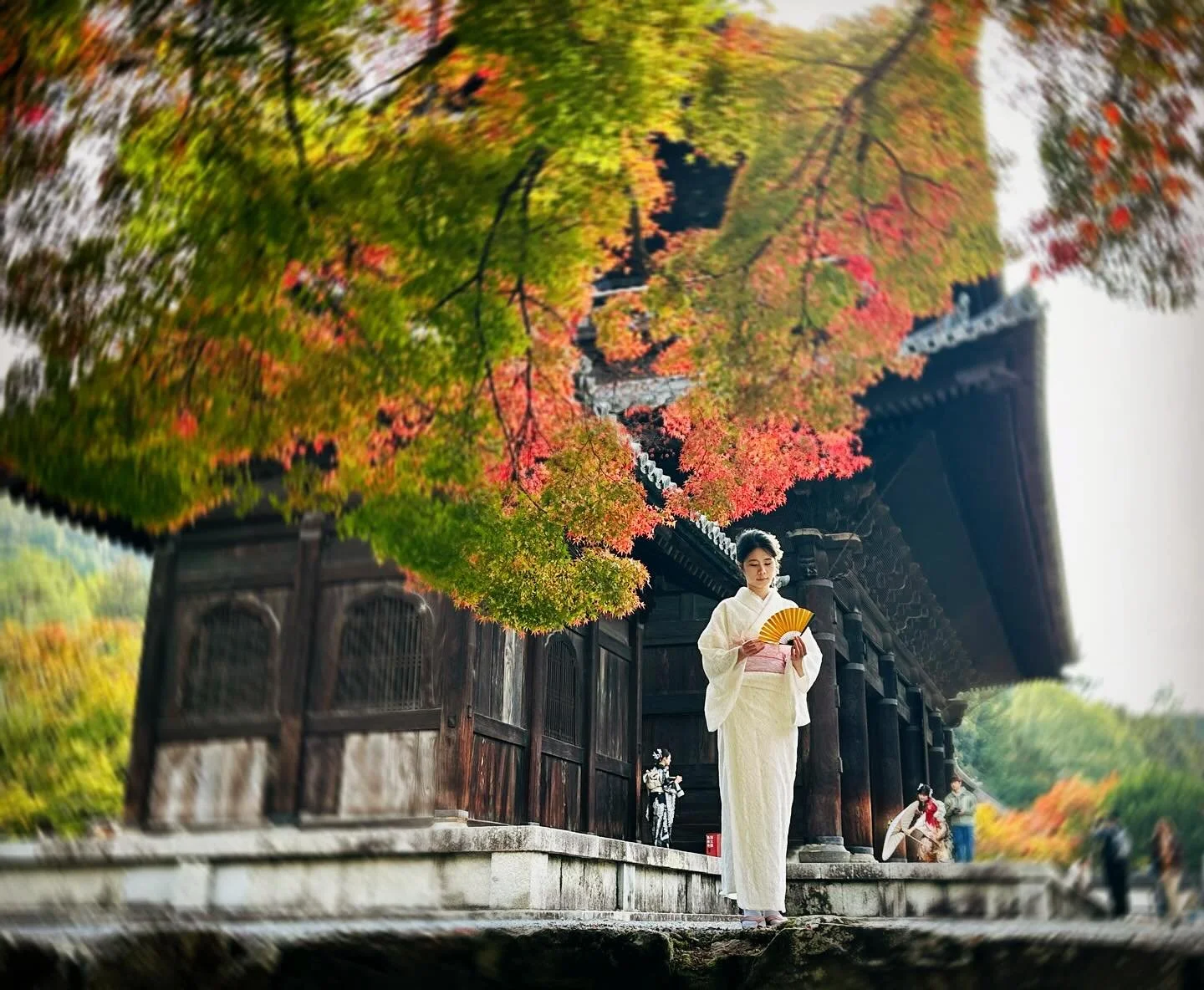 Kyoto, Japan has been so lovely in the fall!!