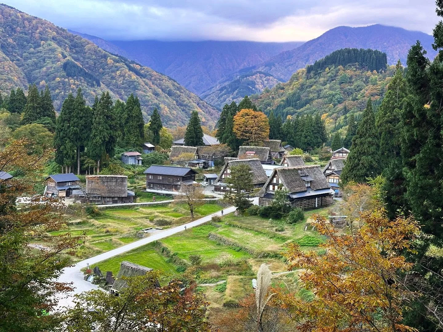 Takayama, Gokayama, and on to Kanazawa, Japan! Street markets, paper making, Japanese Hida-gyu beef, and the beautiful mountain countryside.