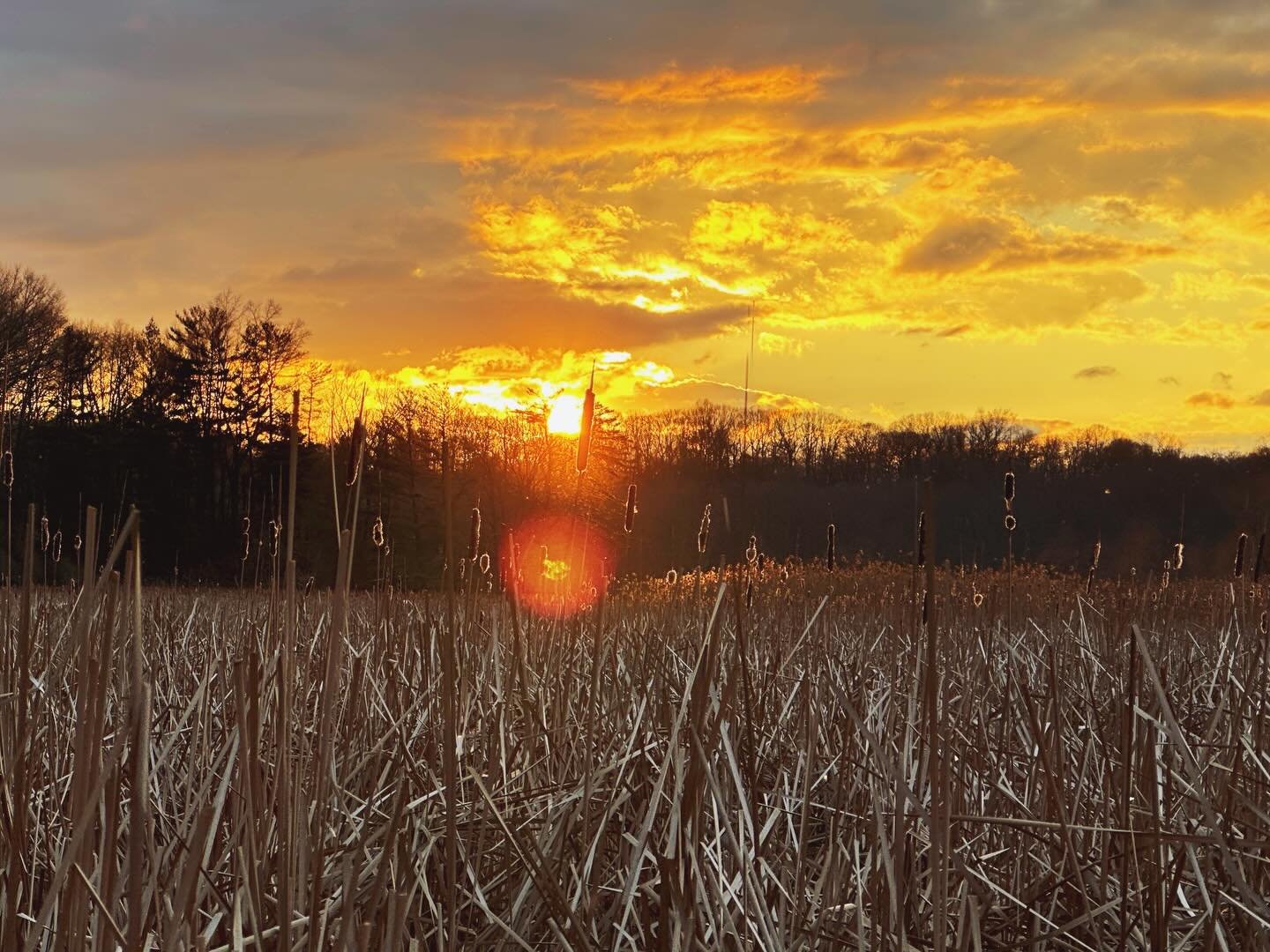 Couldn&rsquo;t get enough of the brief sunset tonight! Windy, muddy, icy, but a classic Rochester sunset through the clouds.