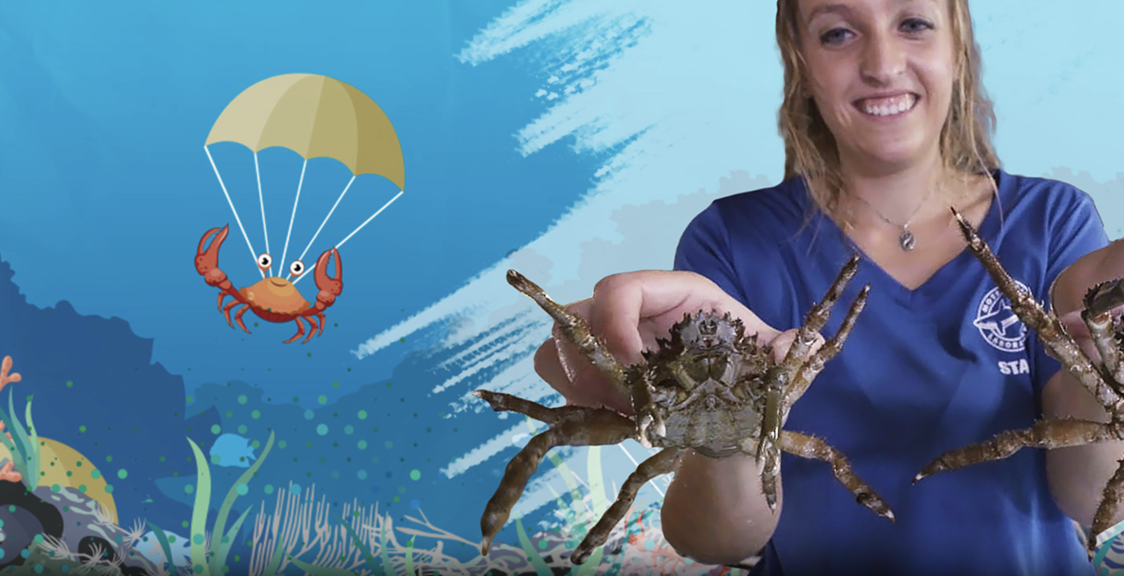 Call in the Crabs! 