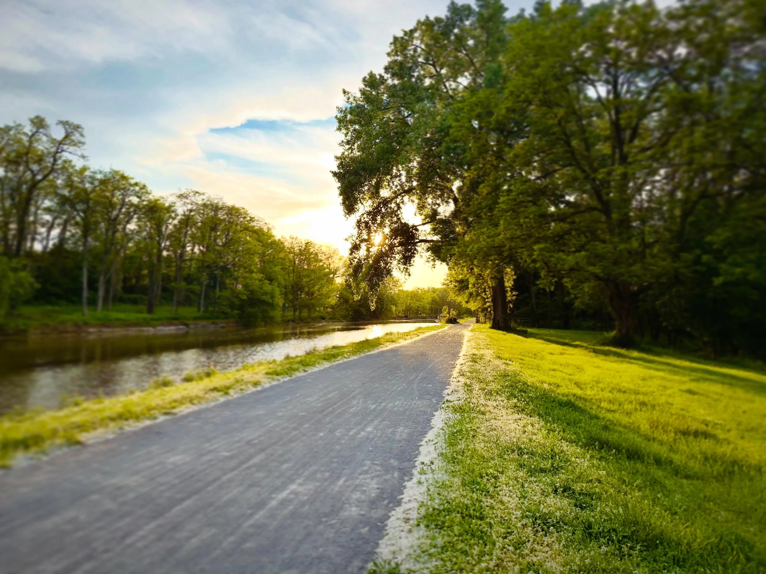 Biking down the canal is always so pretty!