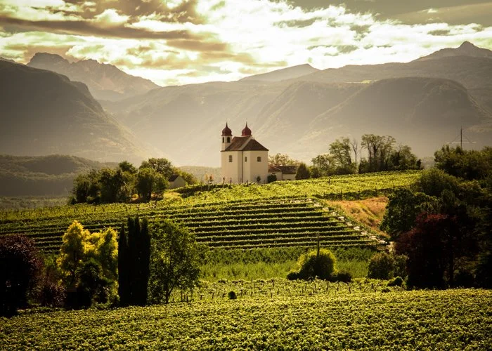 St. Michael Eppan Winery in Alto Adige