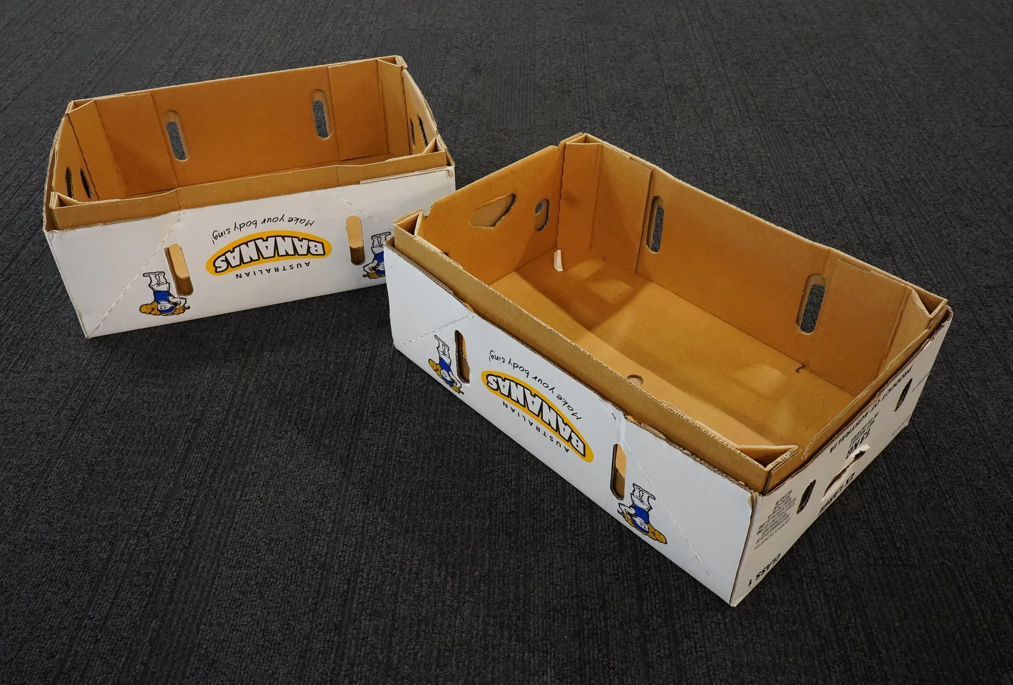 HealthHack was proudly fueled by bananas...