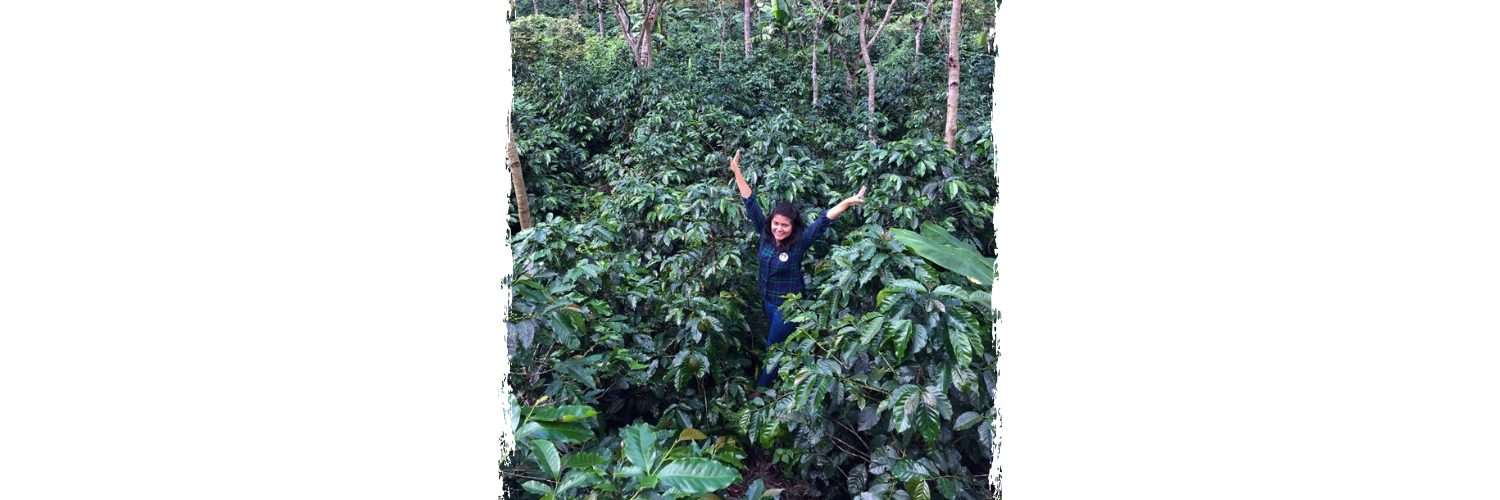 Twitter Banner - Farm View (2).png