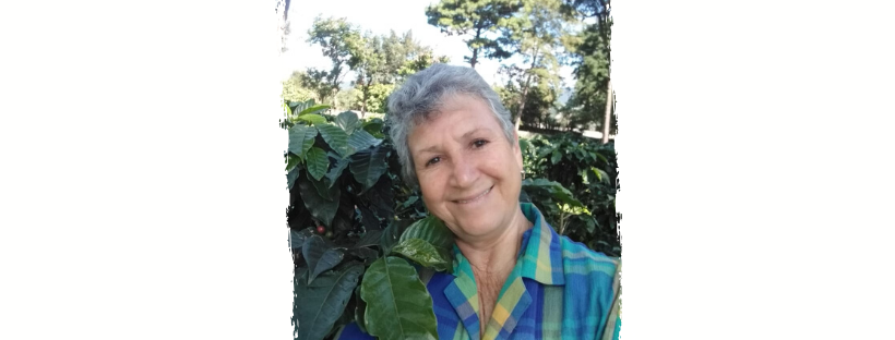 Directed Study Banners (8).png