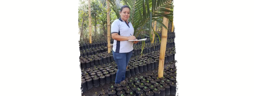 Directed Study Banners (14).png