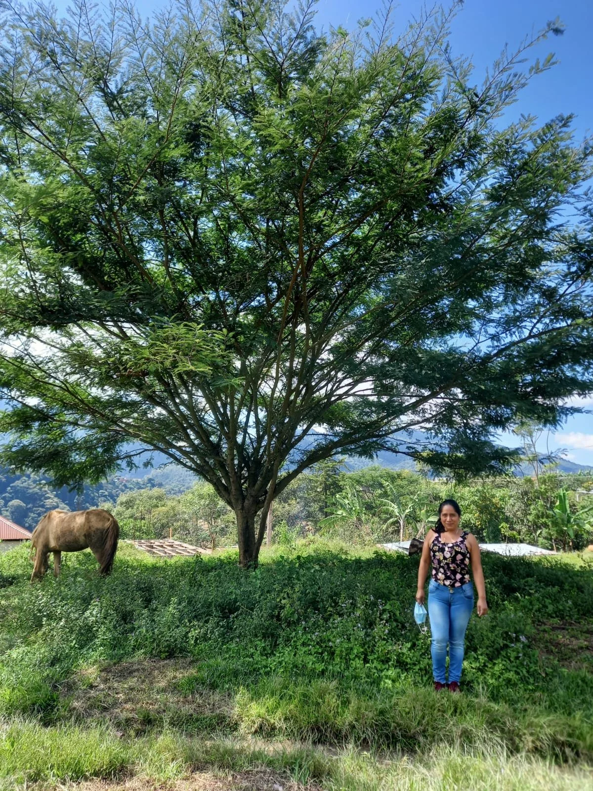 Luisa y caballo.JPG