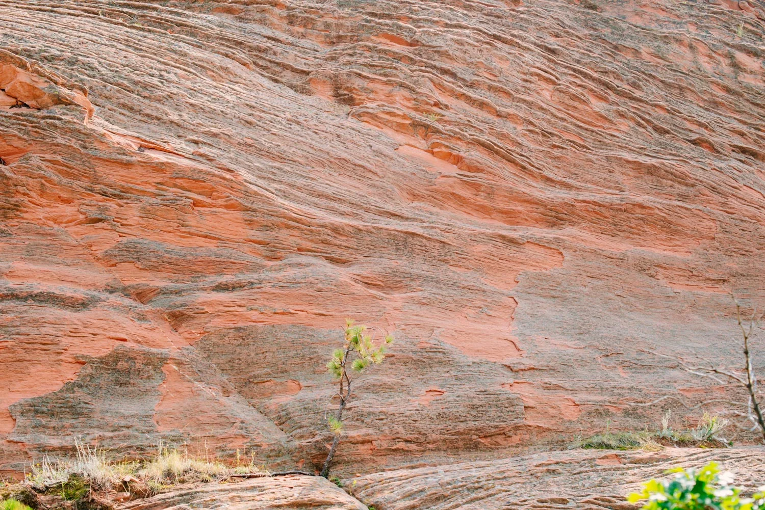 blog_colorado-4.jpg
