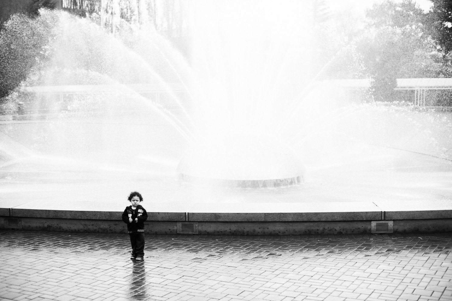 family_photography_seattle-1-31.jpg
