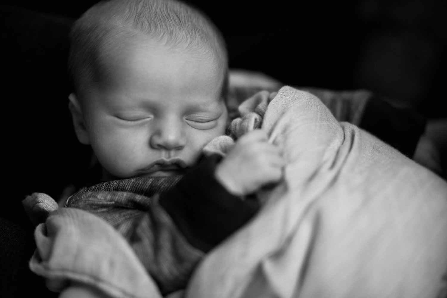 family_photography_seattle-1-24.jpg
