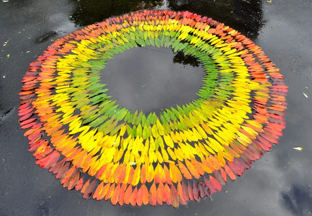 andy_goldsworthy_1.jpg