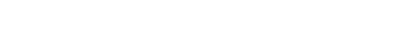 VILLA Logo Type 01.png