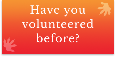 returningVolunteers.png