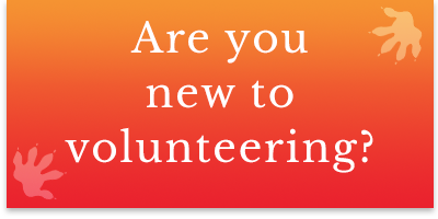 newVolunteers.png