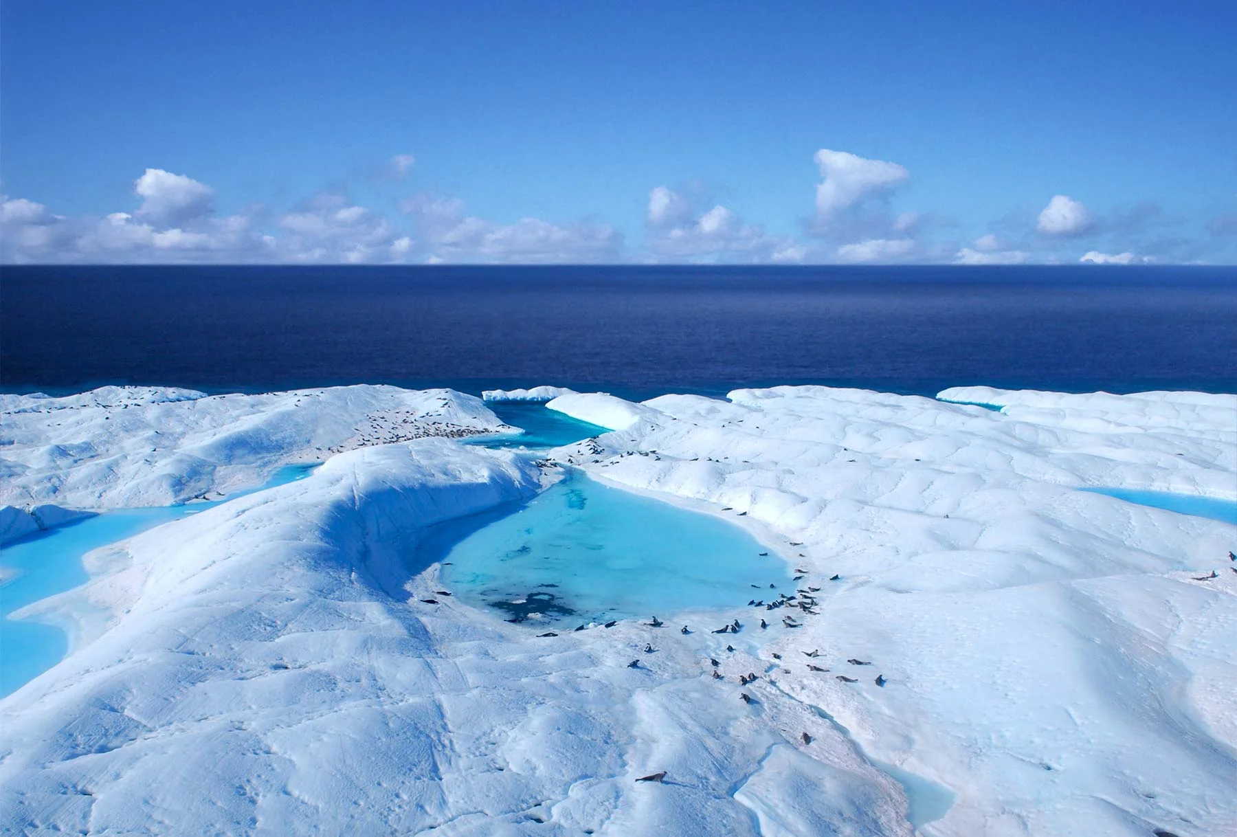 arctic4.jpg