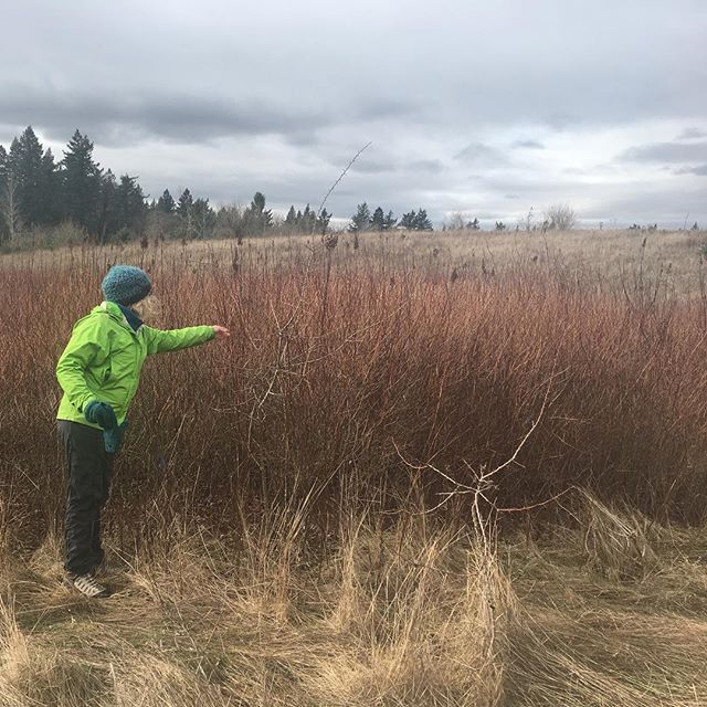 Cat is an herbalist and plant teacher from Boulder and fellow Forest Therapy Guide. So excited to collaborate this May in our Root Down Wimens Retreat #grandfathertree #foresttherapy #foresttherapypdx #shinrinyoku #forestbathing