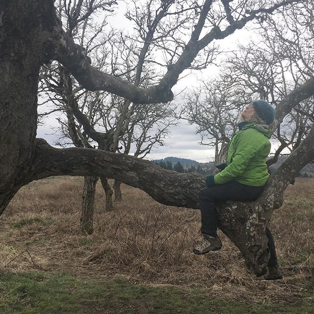 Meeting an Ancestor #grandfathertree #foresttherapy #foresttherapypdx #shinrinyoku #forestbathing