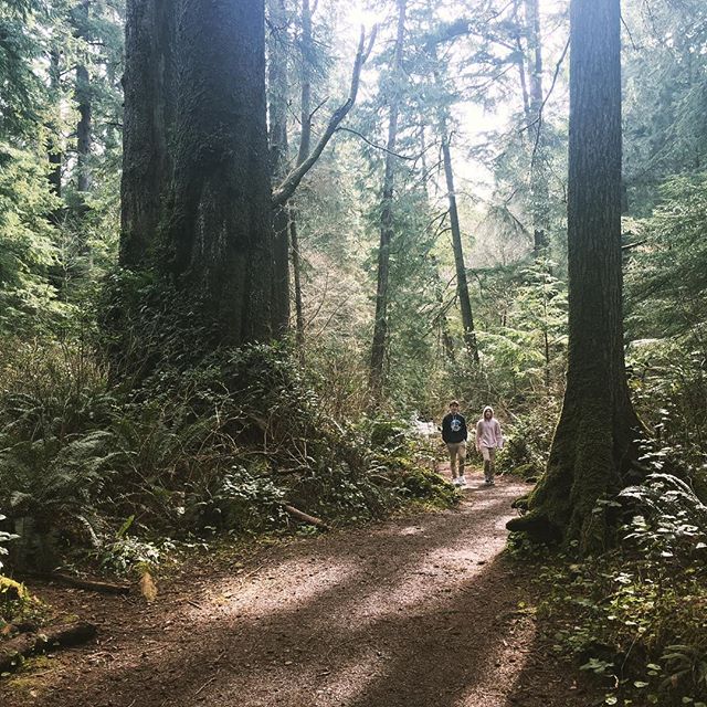 #forestbathing #foresttherapypdx #shinrinyoku