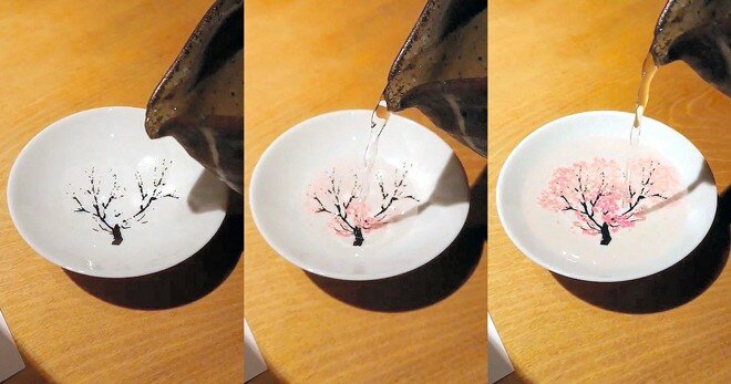 Sake cup offers intoxicating look as cherry flowers magically appear