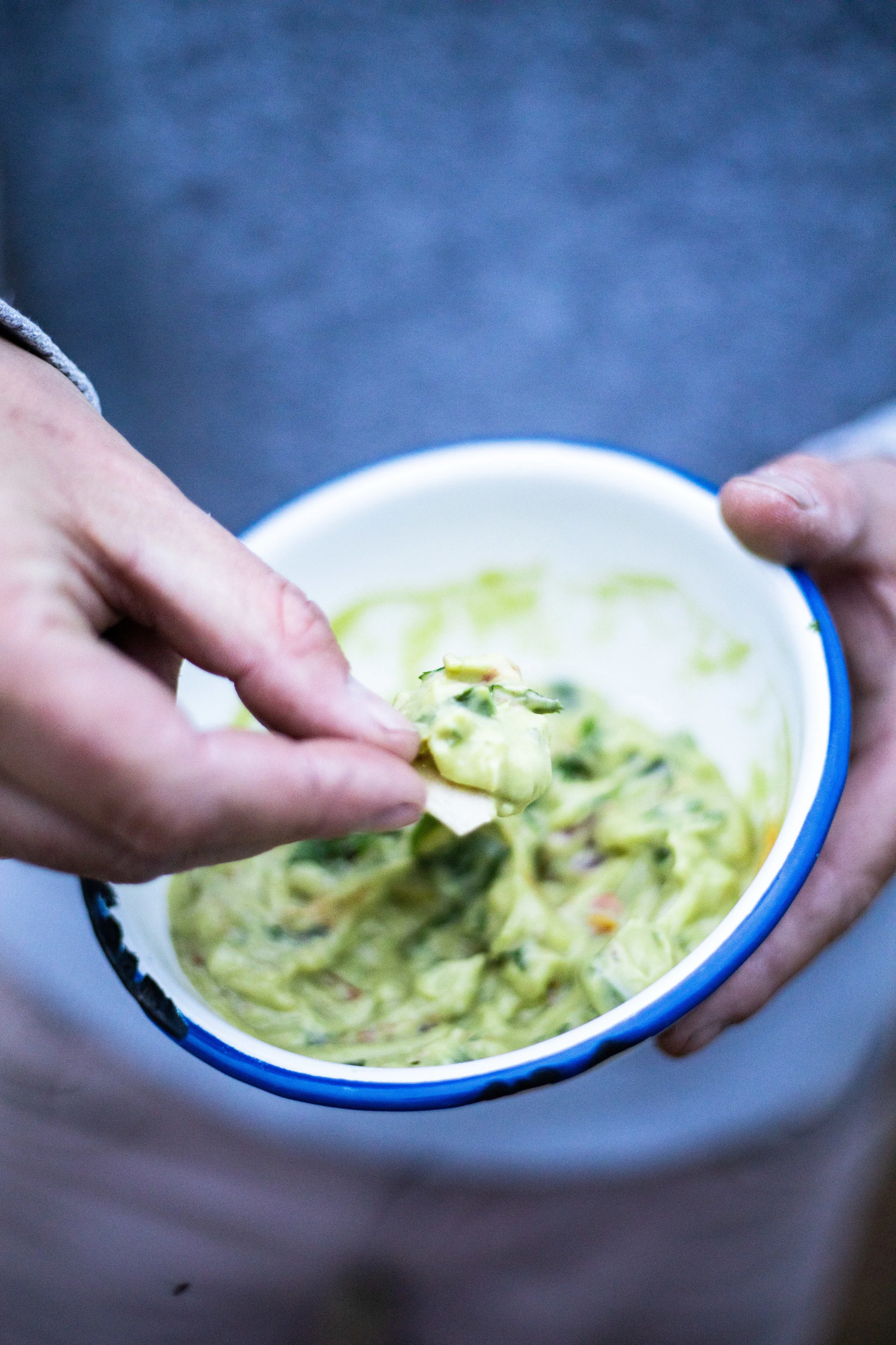 Guacamole Mexican Style